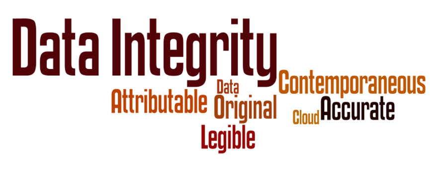 Data Integrity in the Cloud
